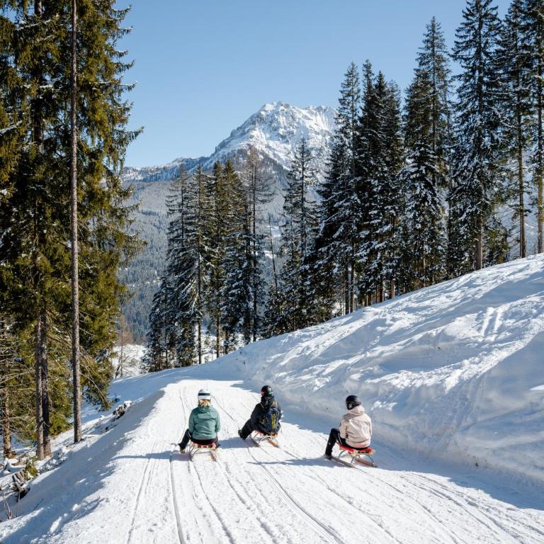 Ferienhaus Försterlisl - direkt beim Skilift - Chalet - 35