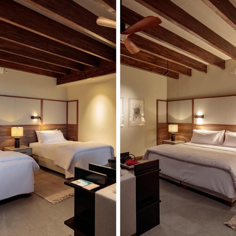 Finch Bay Galapagos Hotel - Habitación Doble Deluxe Superior - 1 o 2 camas - 5