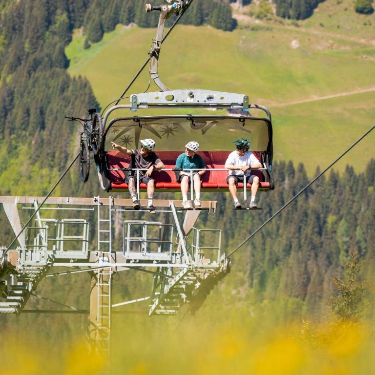 Ferienhaus Försterlisl - direkt beim Skilift - Chalet - 48