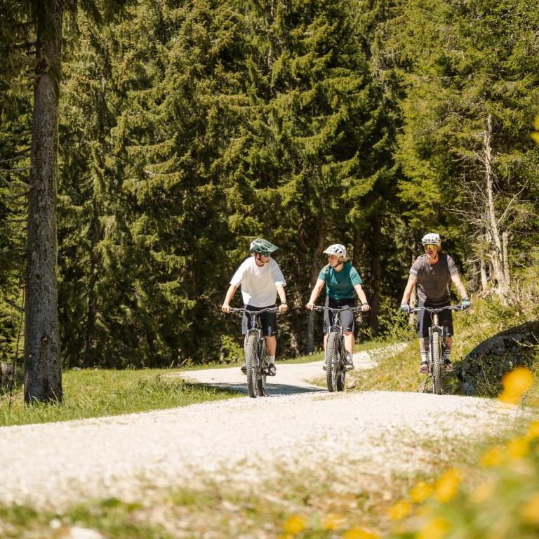 Ferienhaus Försterlisl - direkt beim Skilift - Chalet - 51