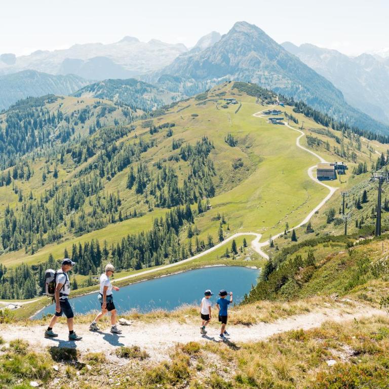 Ferienhaus Försterlisl - direkt beim Skilift - Chalet - 80
