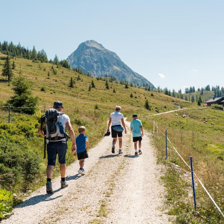 Ferienhaus Försterlisl - direkt beim Skilift - Chalet - 79