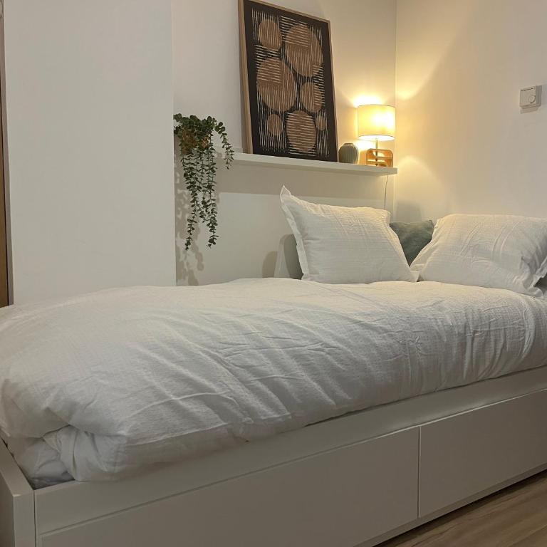 Puesta de sol y nieve - Appartement 2 Chambres - 24