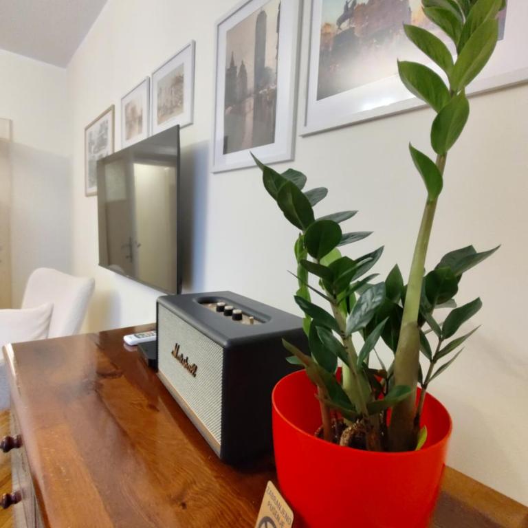 BGholik studio apartment - Apartment mit 1 Schlafzimmer - 1