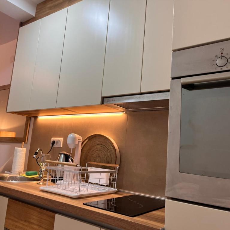Apartman Andrea Kralj Residence Resort - Apartman sa 1 Spavaćom Sobom - 11