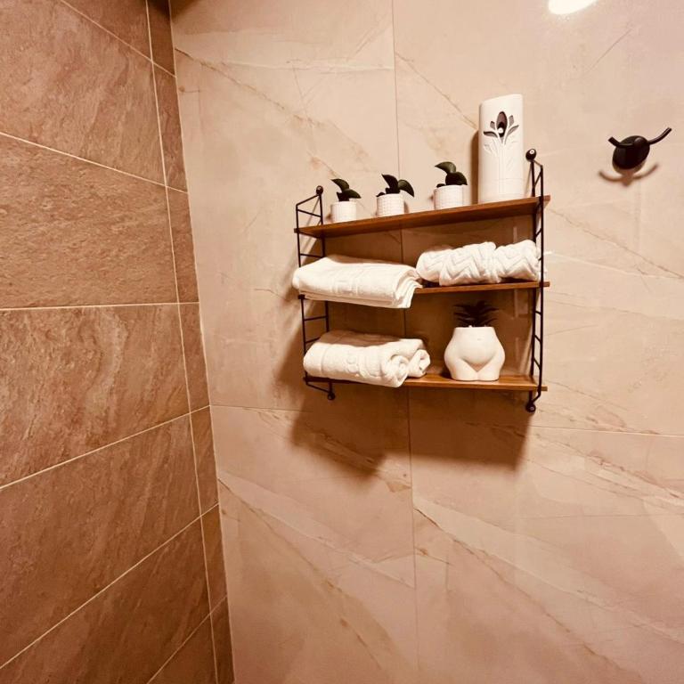 Apartman Andrea Kralj Residence Resort - Apartman sa 1 Spavaćom Sobom - 26