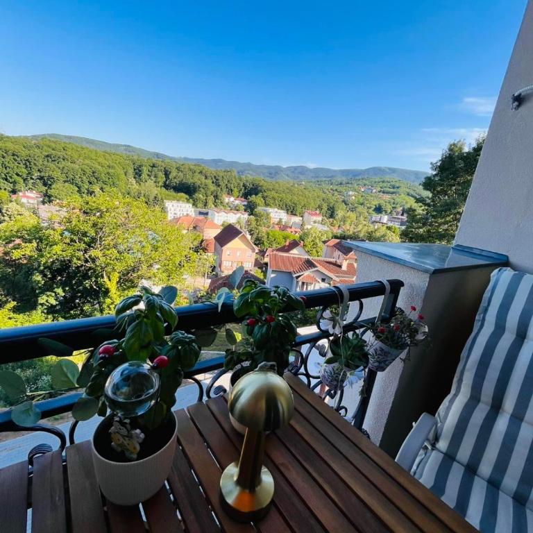 Apartman Andrea Kralj Residence Resort - Apartman sa 1 Spavaćom Sobom - 47