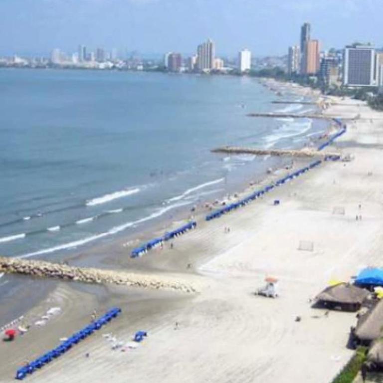 Entire oceanfront apartment - One-Bedroom Apartment - 7