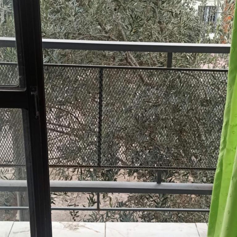 San José - Apartamento de 1 dormitorio - 2