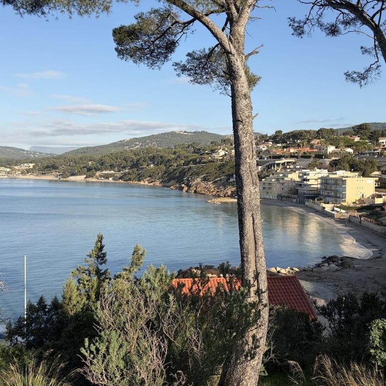 L'écrin de la Gorguette, plage à pieds - Appartement 2 Chambres - 5