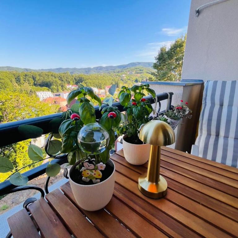 Apartman Andrea Kralj Residence Resort - Apartman sa 1 Spavaćom Sobom - 33