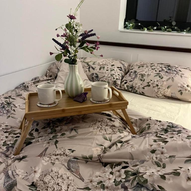 Apartman Andrea Kralj Residence Resort - Apartman sa 1 Spavaćom Sobom - 50