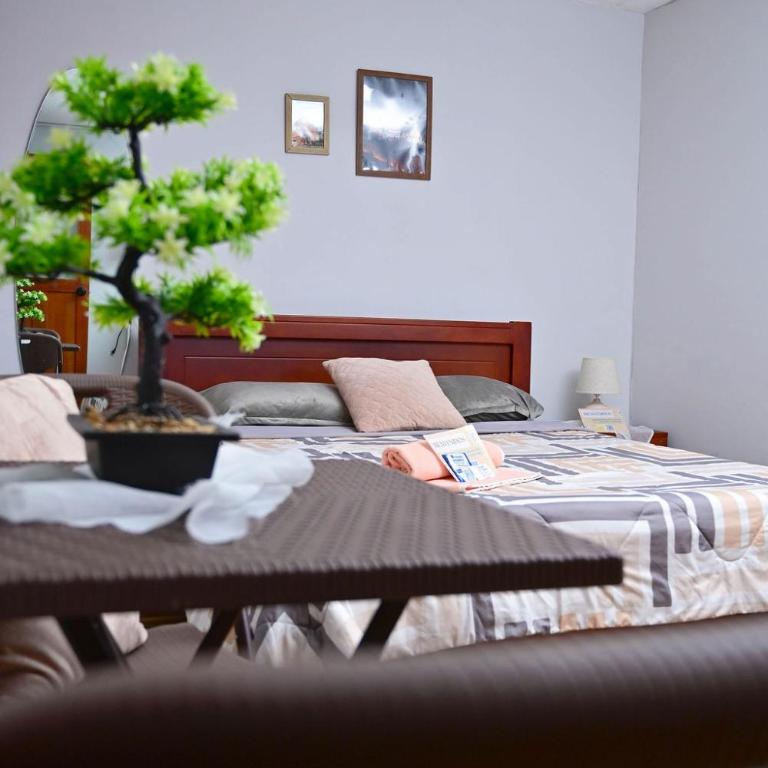 Casa Aida Victoria - One-Bedroom Apartment - 3