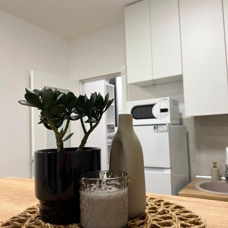 Apartman Hercegovina - Apartman sa 1 Spavaćom Sobom - 11