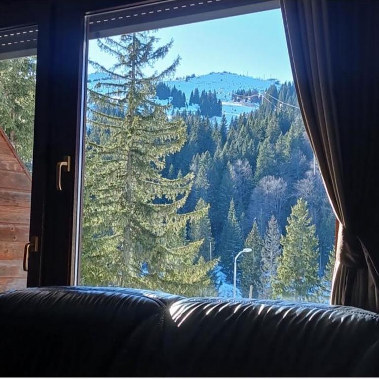 Jahorina Ski View Apartman - Apartman sa 1 Spavaćom Sobom - 1