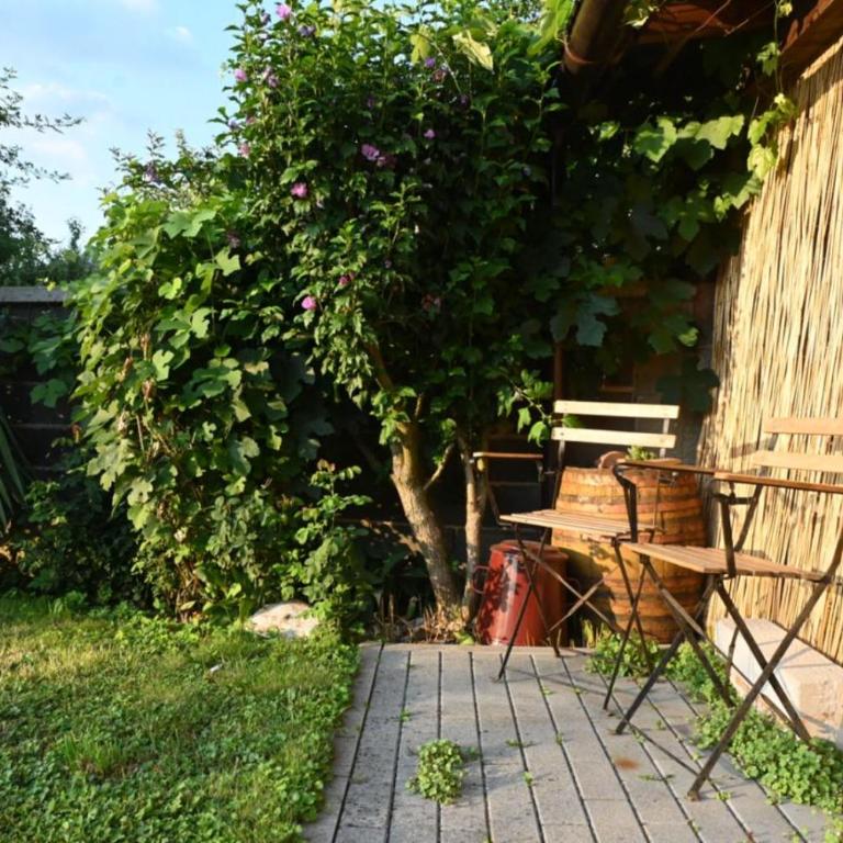 Green Retreat - Appartement 1 Chambre - 12