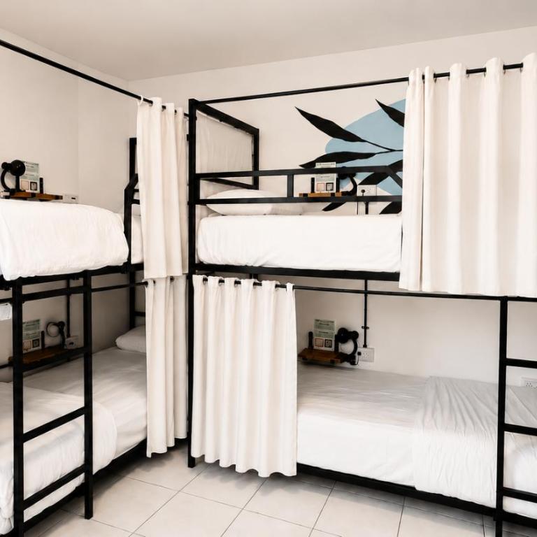 Selina Salta - Cama en habitación compartida con 4 camas - 7
