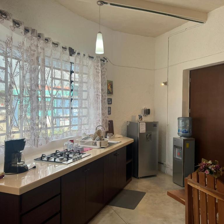 Casa Azul en Centro de Mérida - Two-Bedroom Standard Apartment - 1