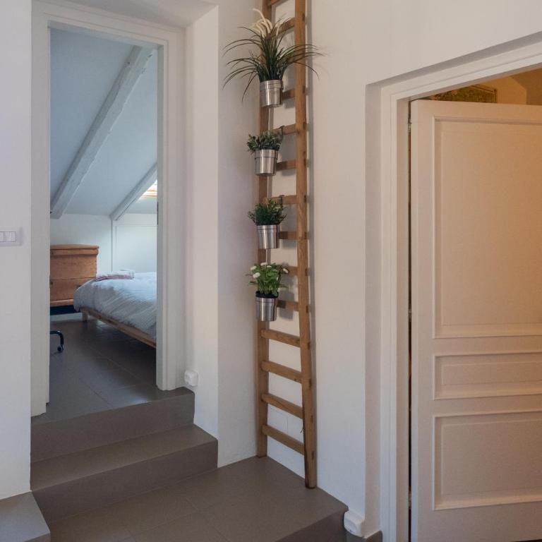 Casa Siciliana alla Giudecca - Appartamento - 30