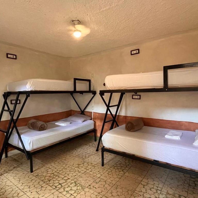 Lool Beh Hostal - Bed in 4-Bed Mixed Dormitory Room - 1