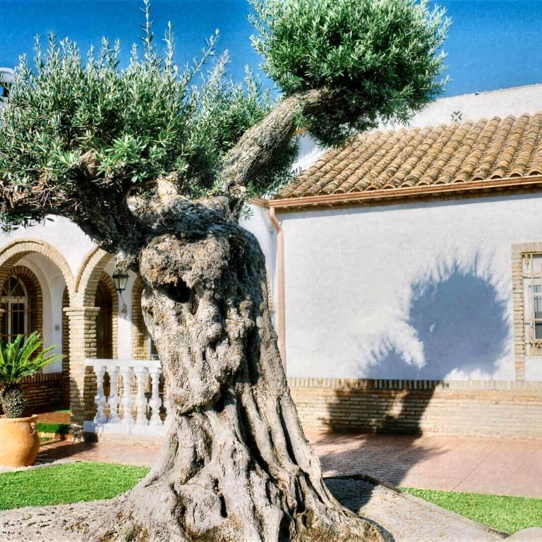 Casa Rural "El Olivo de Córdoba" con jacuzzi y parking privado - Maison de Vacances 4 Chambres - 6