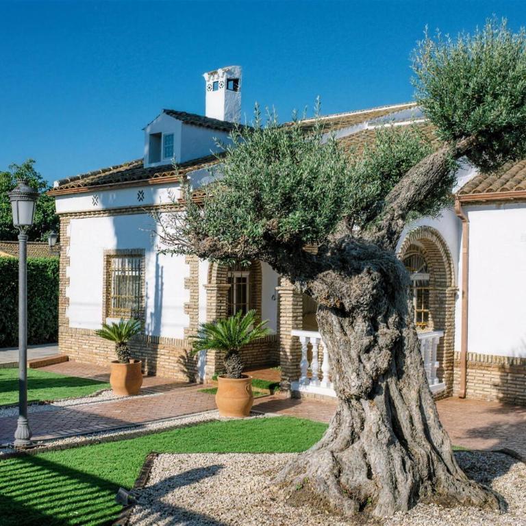 Casa Rural "El Olivo de Córdoba" con jacuzzi y parking privado - Maison de Vacances 4 Chambres - 10
