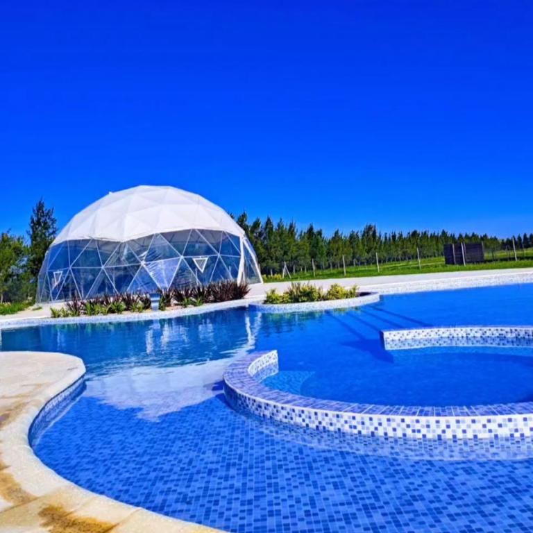 Aquadolores - Apartamento de 1 dormitorio - 7