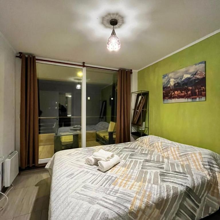 Excelente Departamento en Pucón, camino al volcan - Two-Bedroom Apartment - 13