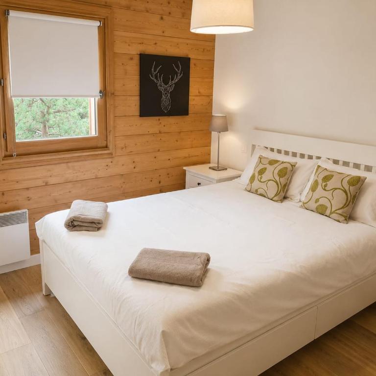 Beautiful Apartment with views of Mont Blanc - Appartement 2 Chambres - 4