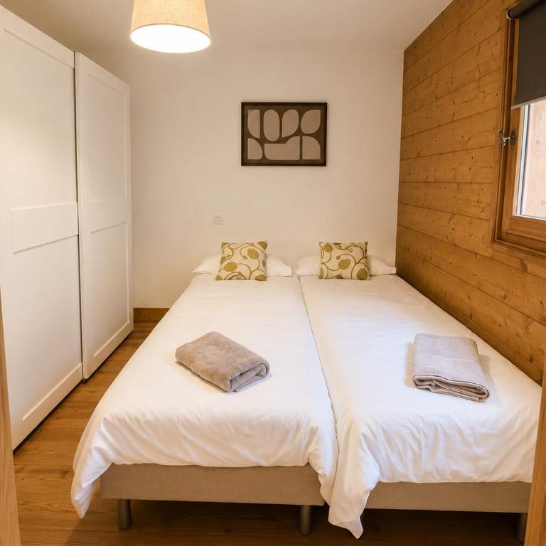 Beautiful Apartment with views of Mont Blanc - Appartement 2 Chambres - 5