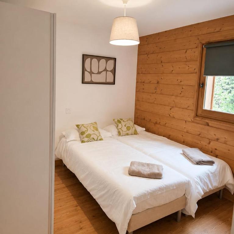 Beautiful Apartment with views of Mont Blanc - Appartement 2 Chambres - 6