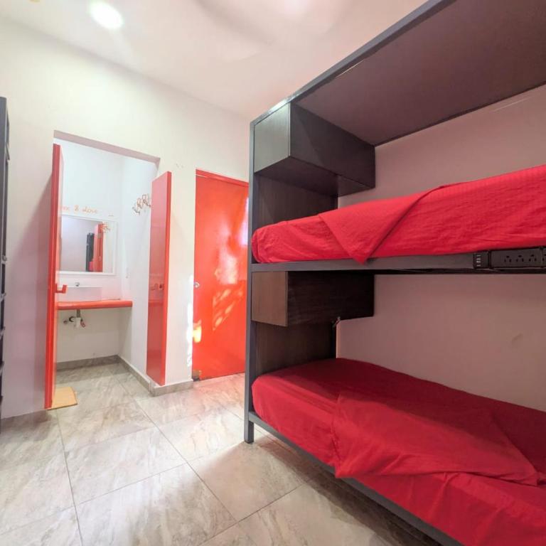 Hostel Humanity - Puerto Morelos - Cama en habitación compartida mixta de 4 camas - 4