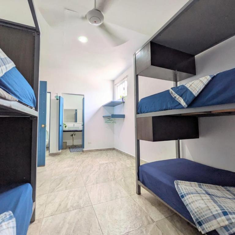 Hostel Humanity - Puerto Morelos - Cama individual en habitación compartida mixta - 2