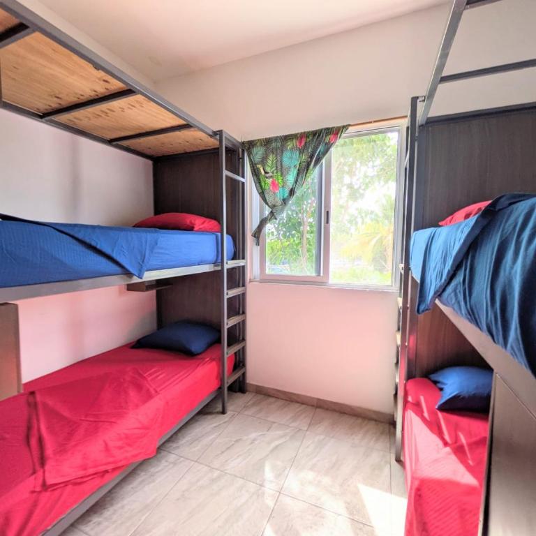 Hostel Humanity - Puerto Morelos - Cama en habitación compartida mixta de 8 camas - 3