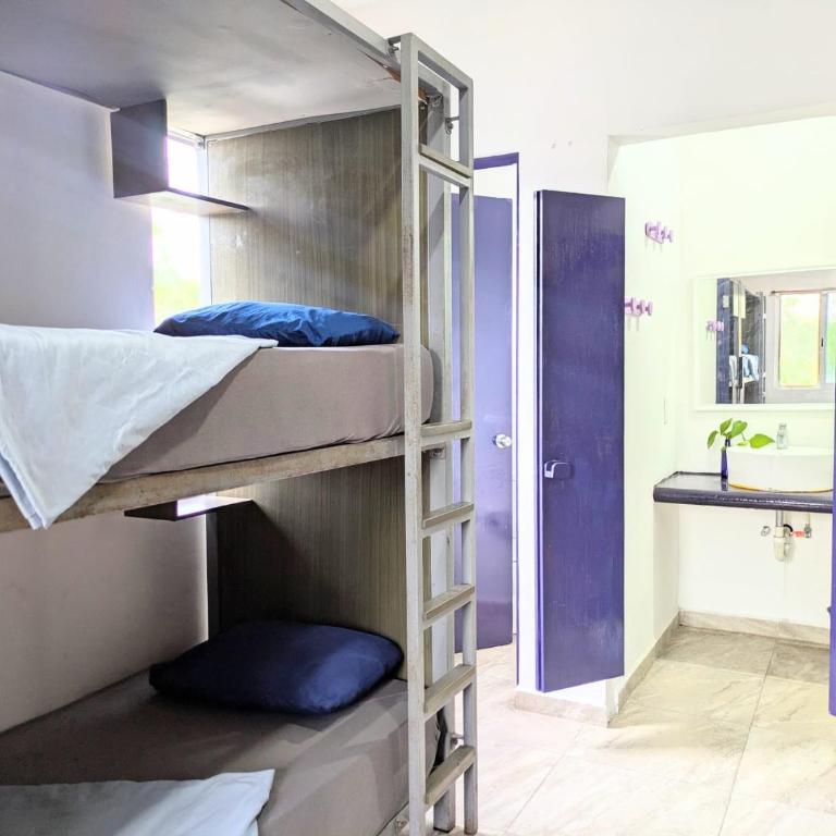 Hostel Humanity - Puerto Morelos - Litera en habitación compartida - Solo mujeres - 5