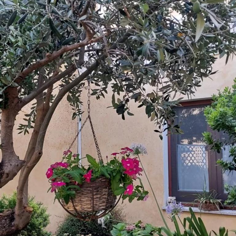 Casa Vacanze L'Ulivo di Ugo - Casa con 2 Camere da Letto - 5