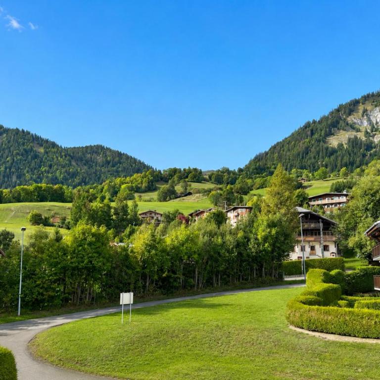 Studio à Praz-sur-Arly - Studio - 3