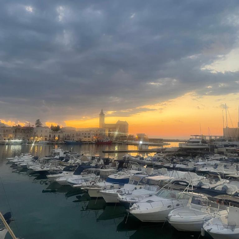 Alba sul mare - Appartamento con 2 Camere da Letto - 2