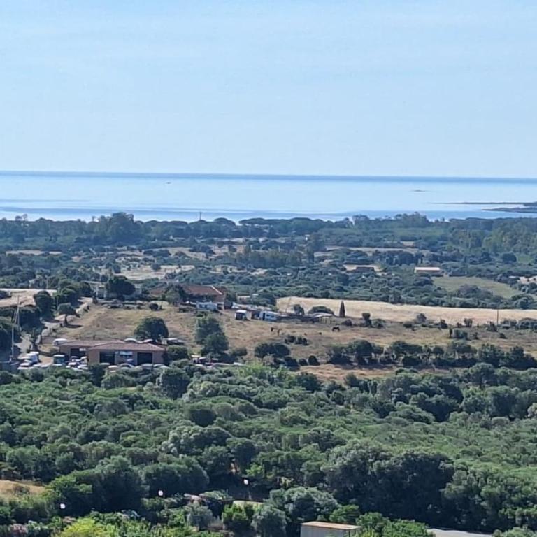 Budoni Case Vacanze - Appartamento con 1 Camera da Letto e Vista Mare - 8