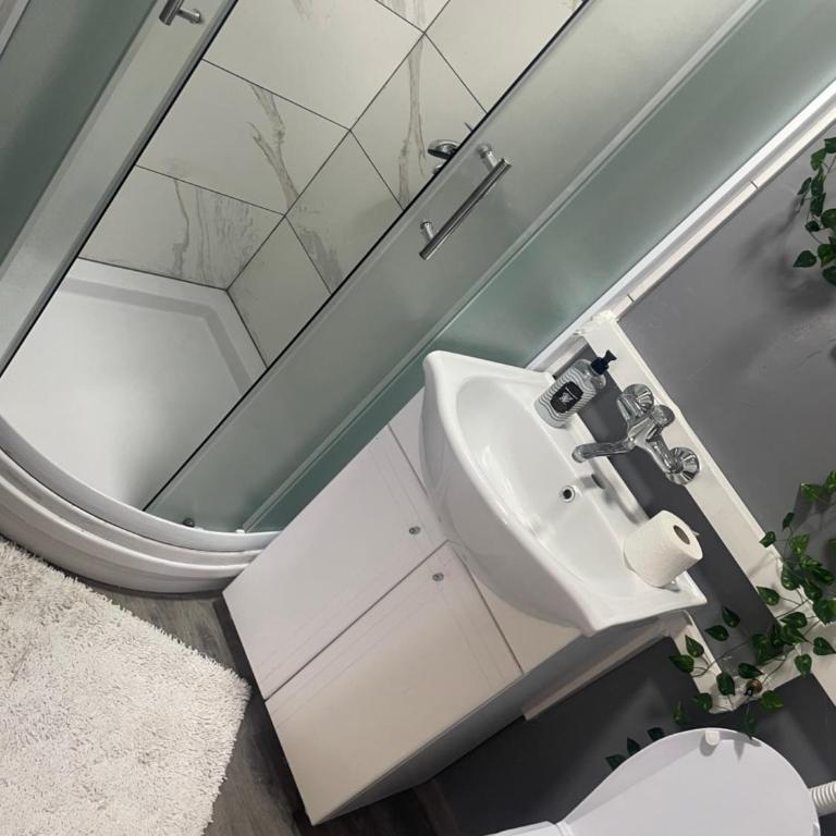 Apartmani Petra - Apartman - 7