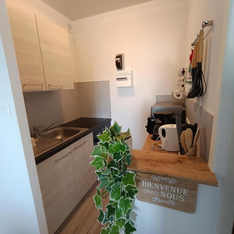 APPARTEMENT à 5 mn de la plage - Appartement 1 Chambre - 19