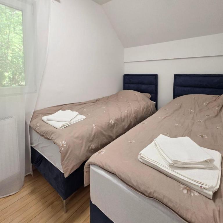 Vila Vidovic Drina - Villa - 2