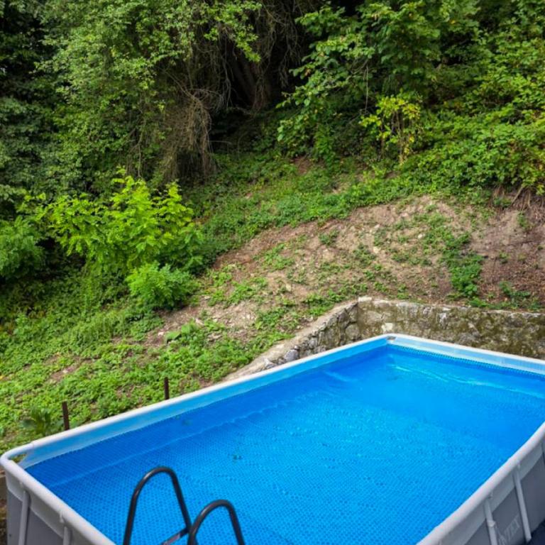 Vila Vidovic Drina - Villa - 10