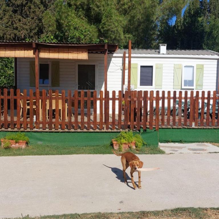 Stacaravan el toro Alhaurin - Apartamento de 2 dormitorios - 1