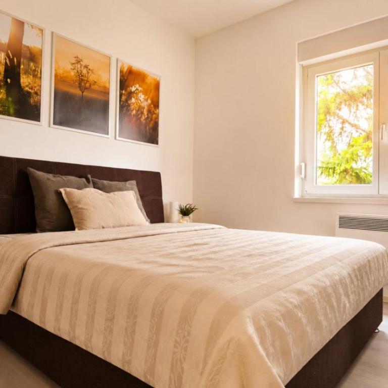 Park Residence Sokobanja - One-Bedroom Apartment - 4