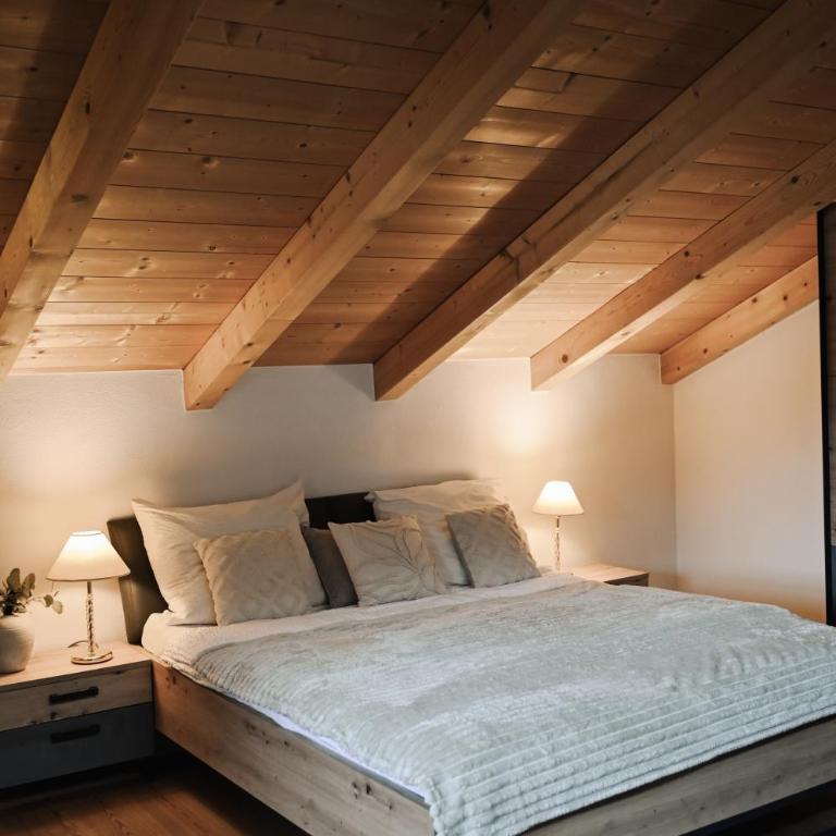 Center Chalet - Haus mit 4 Schlafzimmern - 42
