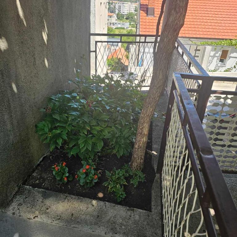 DM Apartman - Apartman sa 2 Spavaće Sobe - 17