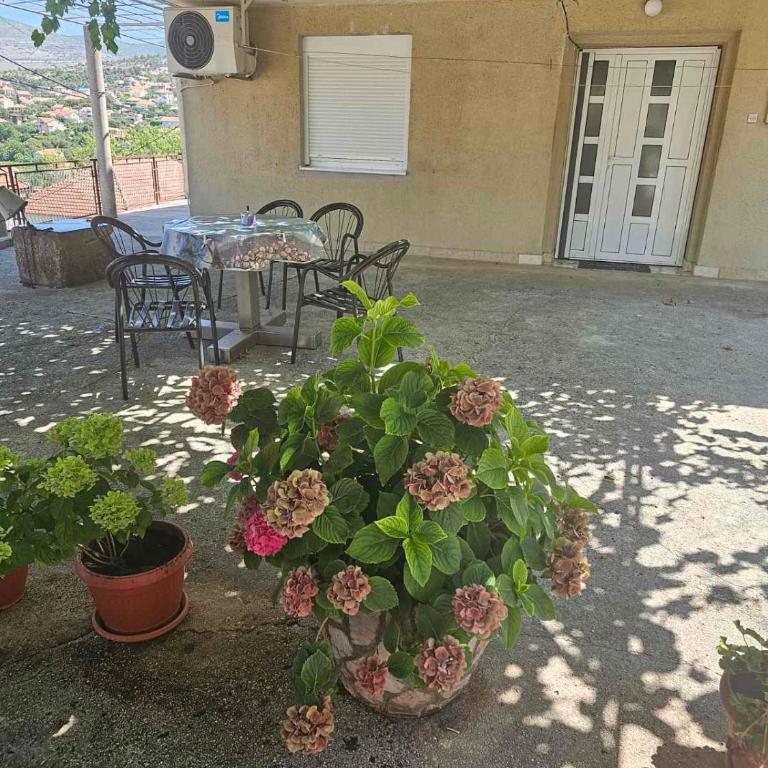 DM Apartman - Apartman sa 2 Spavaće Sobe - 1