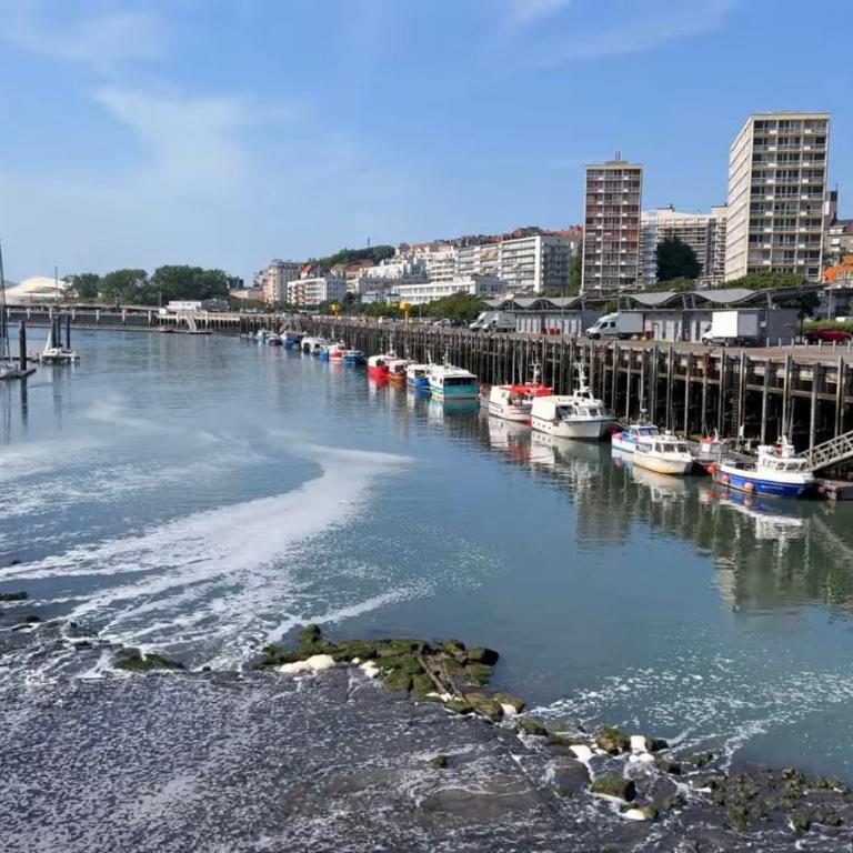 La Sirène Bleue de Boulogne Sur Mer - Appartement 1 Chambre - 33
