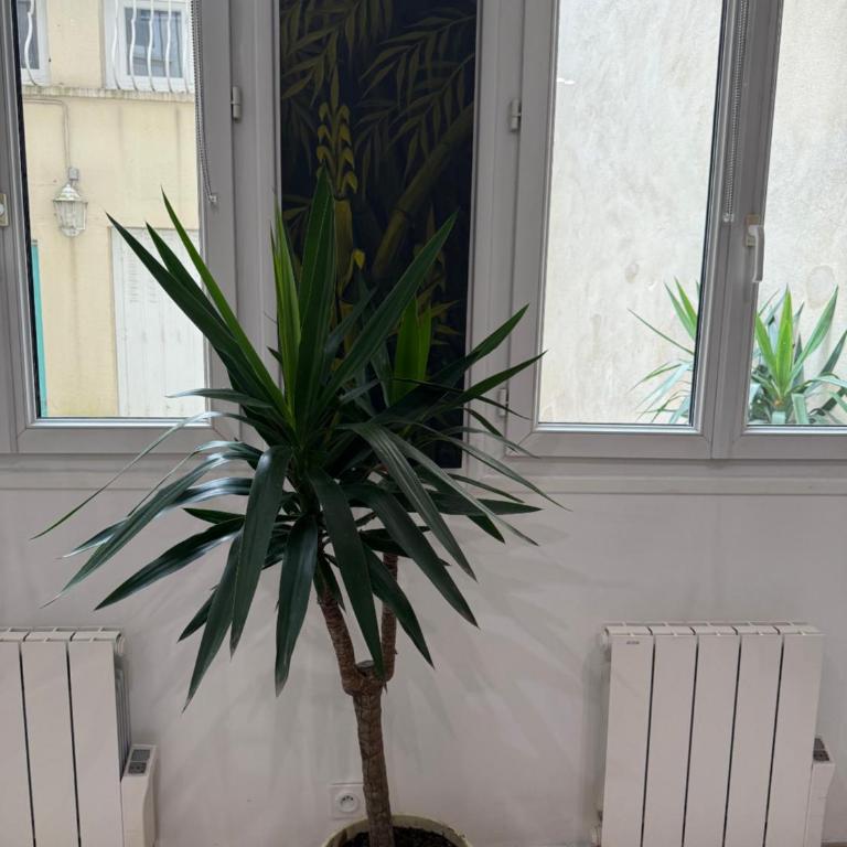 Studio Deluxe Paris Sorbonne - Apartamento de 1 dormitorio - 21